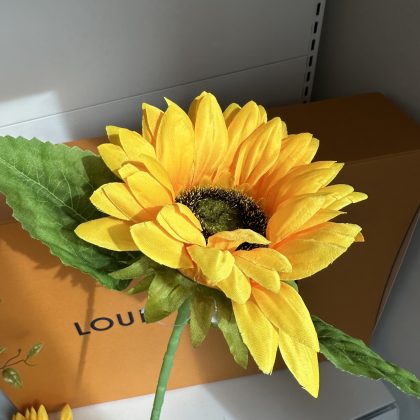 FDX-11 80cm Sun Flower/Single Head x10 (BS-AF04)